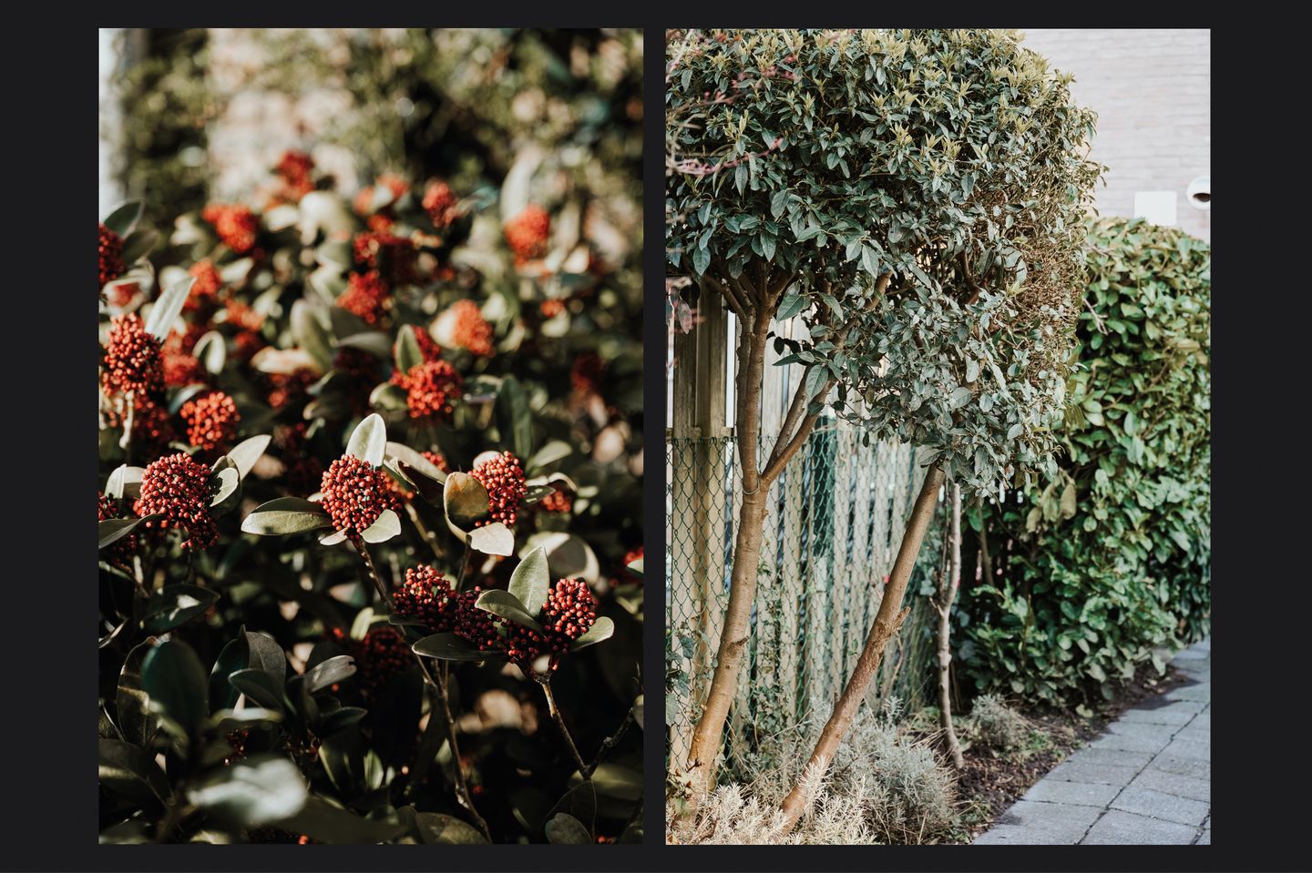 Photo 35 of Schaepmanstraat 18