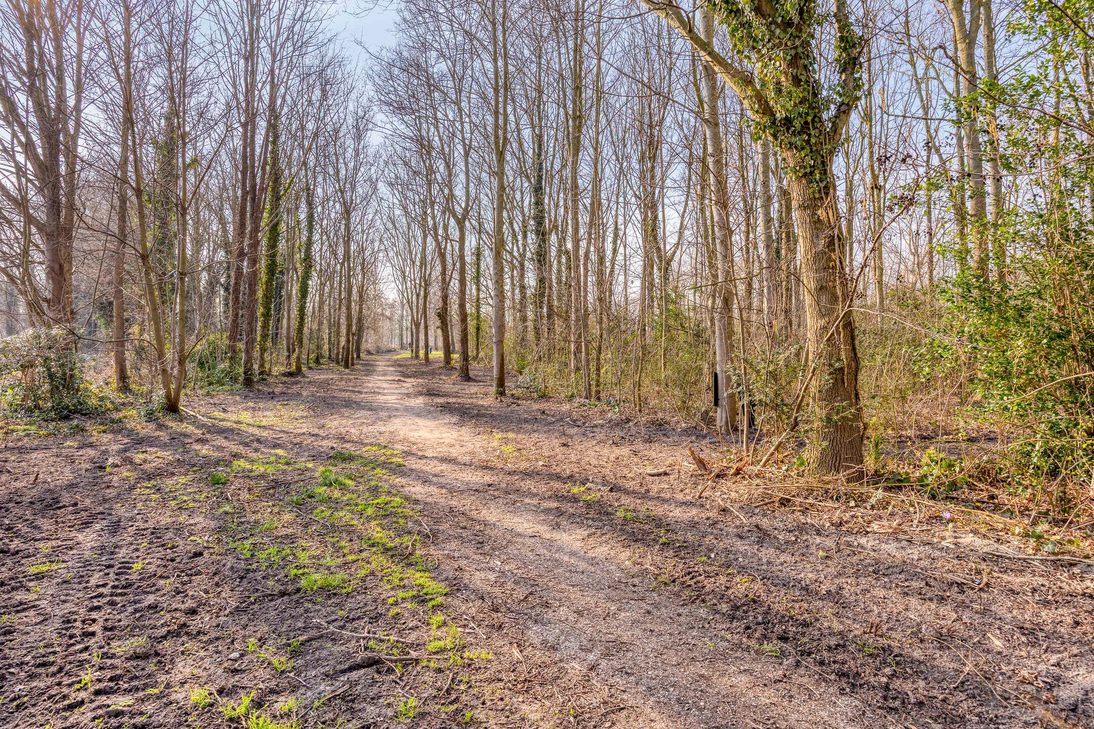 Foto 36 van Hoflanderweg 200