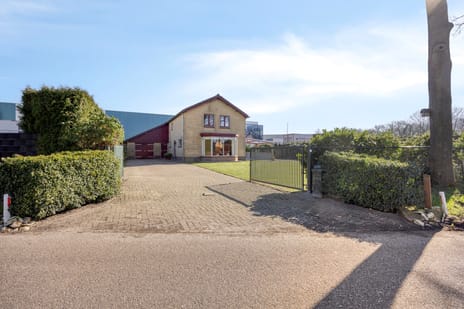 undefined main image