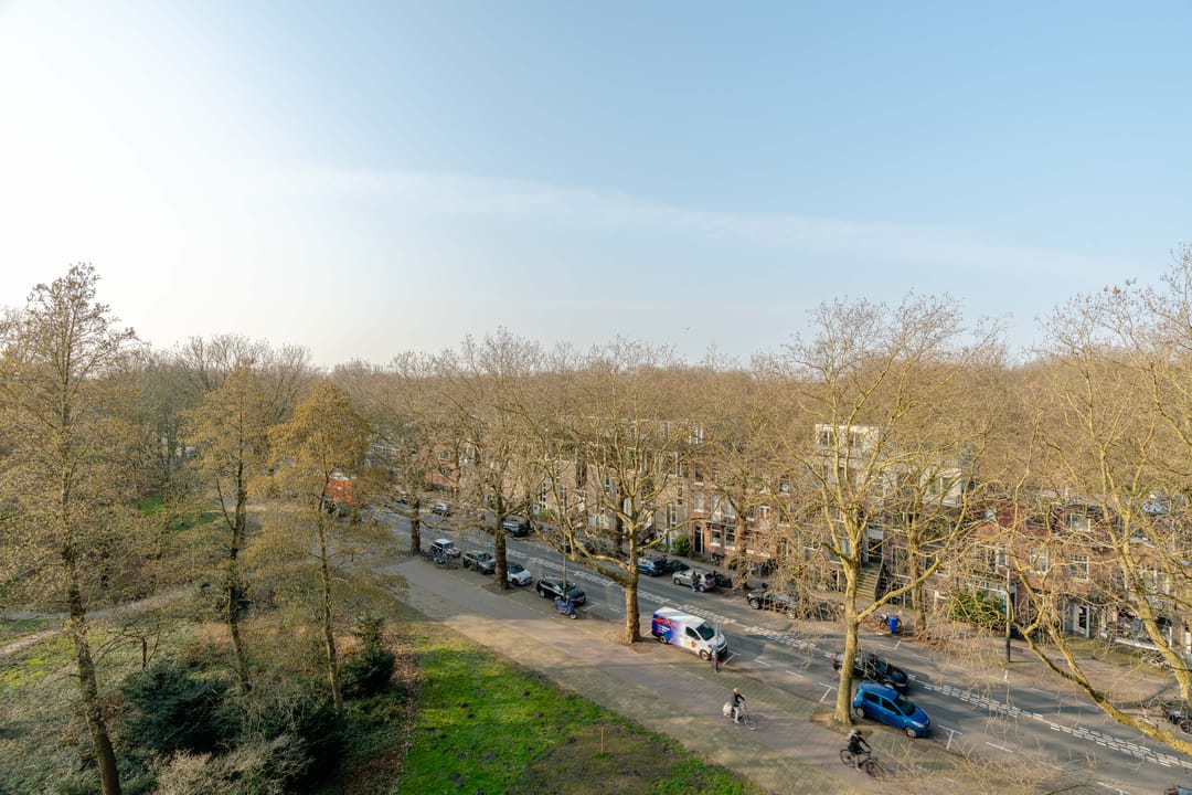 Photo 16 of Bolestein 266