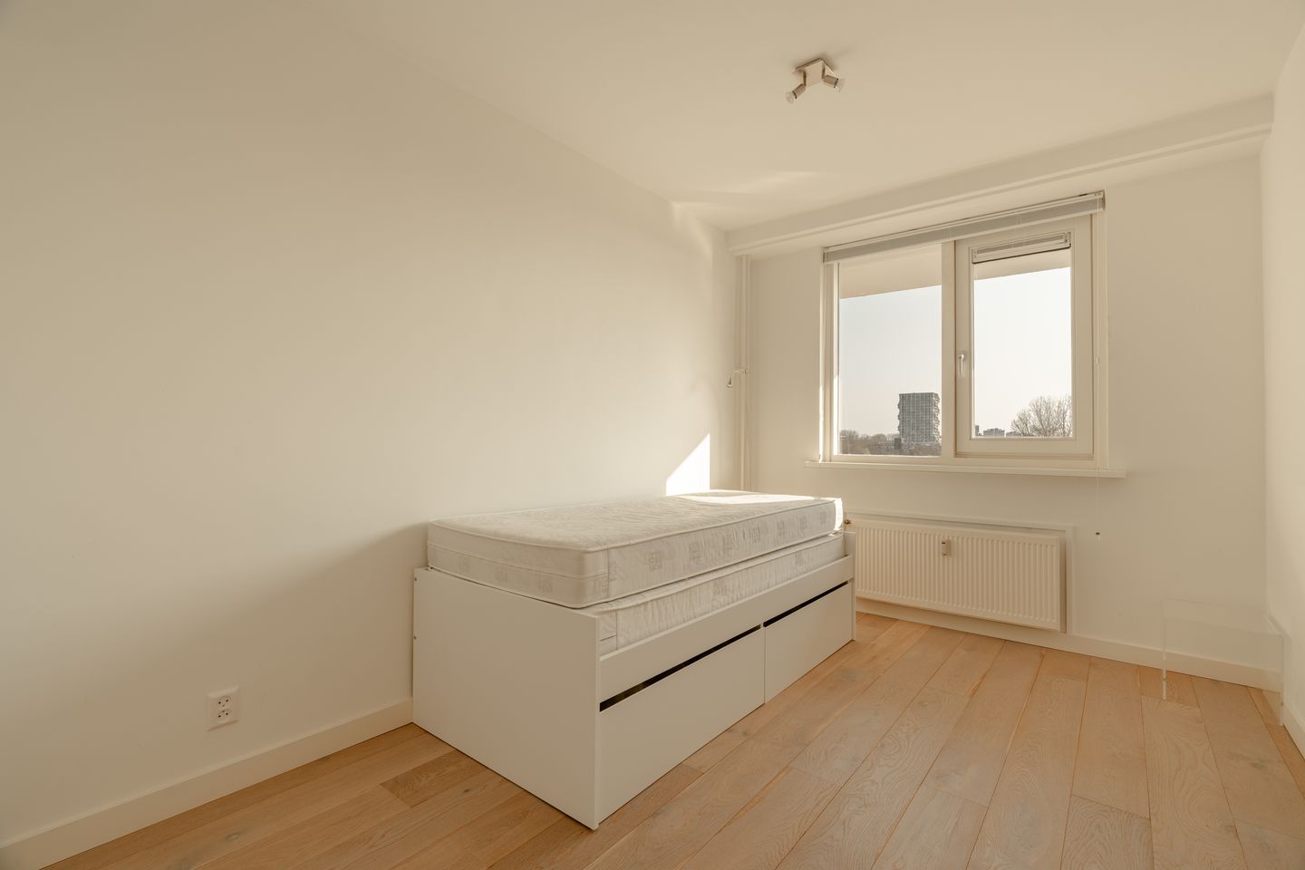 Photo 25 of Bolestein 266