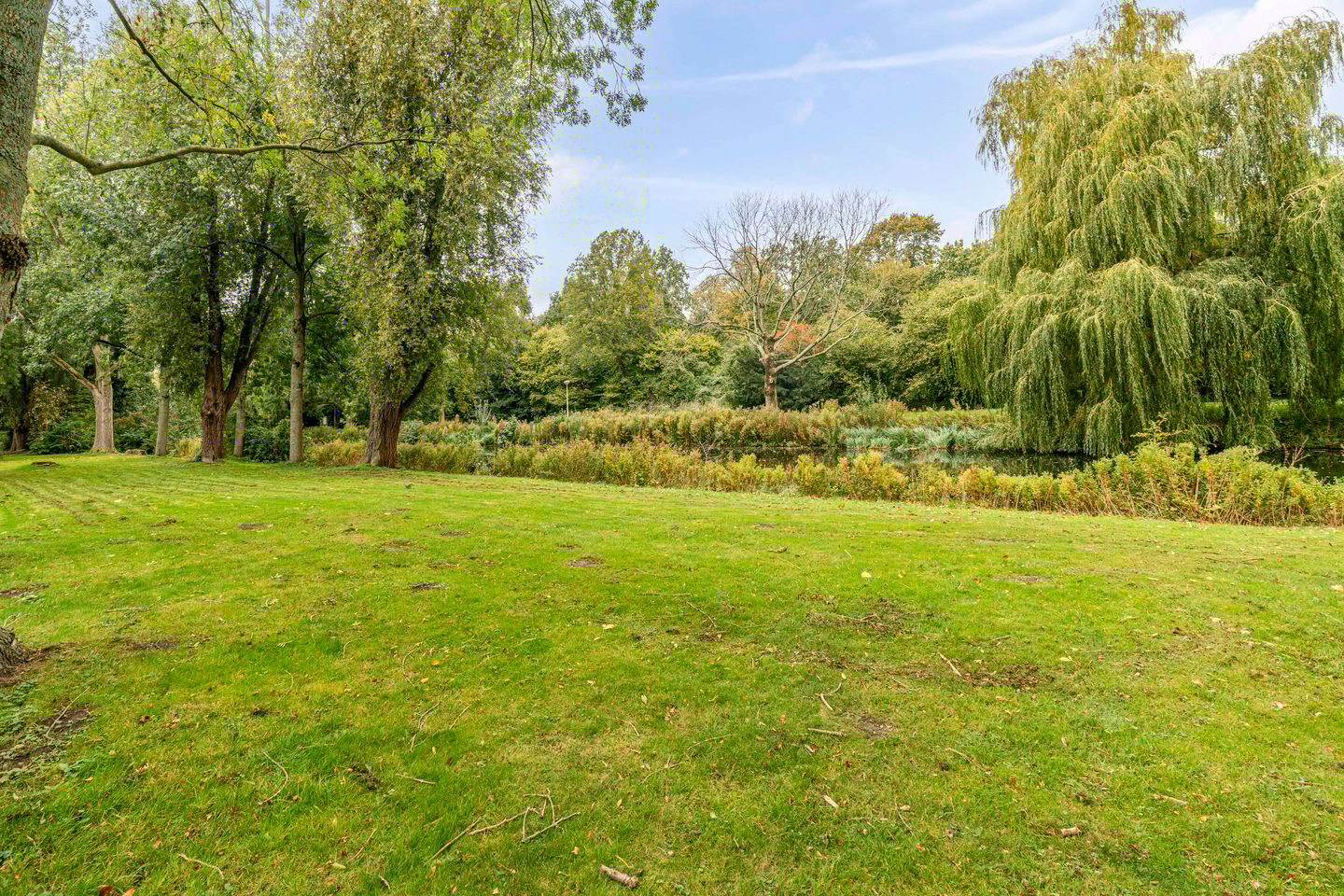 Photo 34 of Bolestein 266