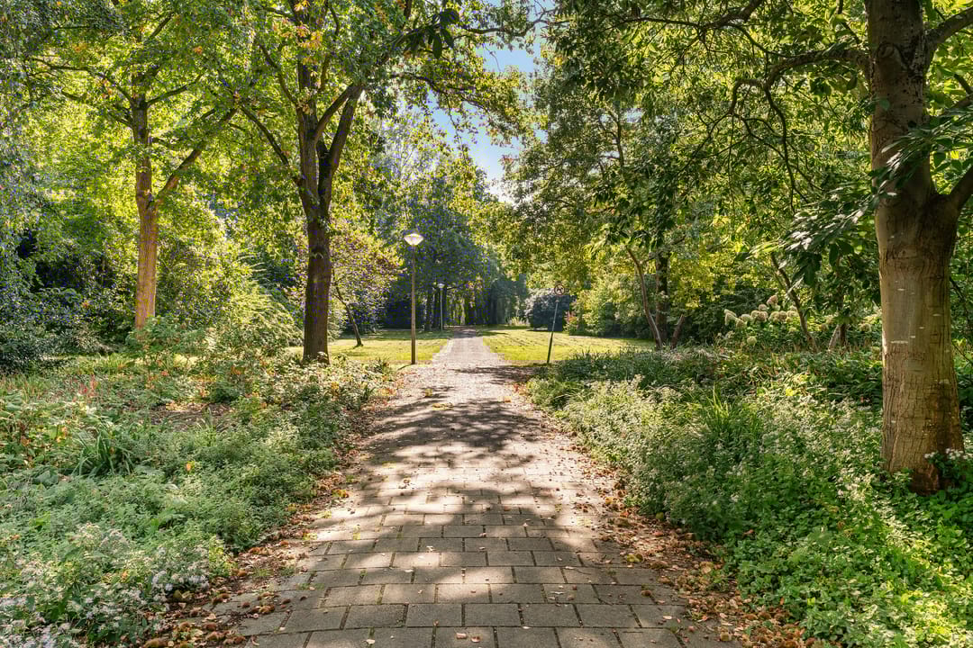 Photo 37 of Bolestein 266