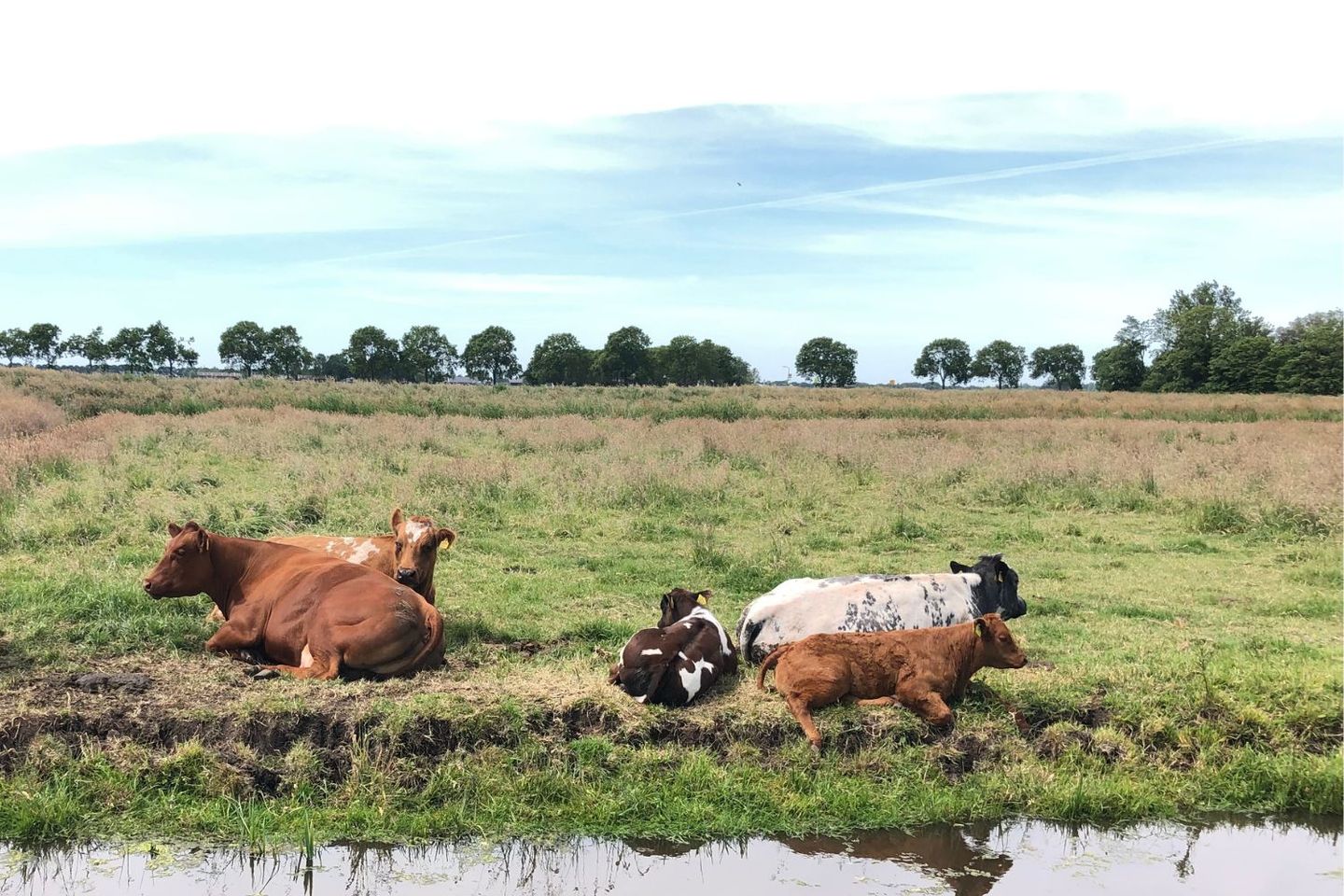 Foto 34 van Heemraad 4