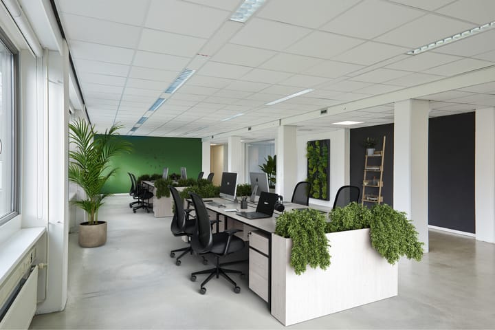 Schweitzerlaan 12, Groningen