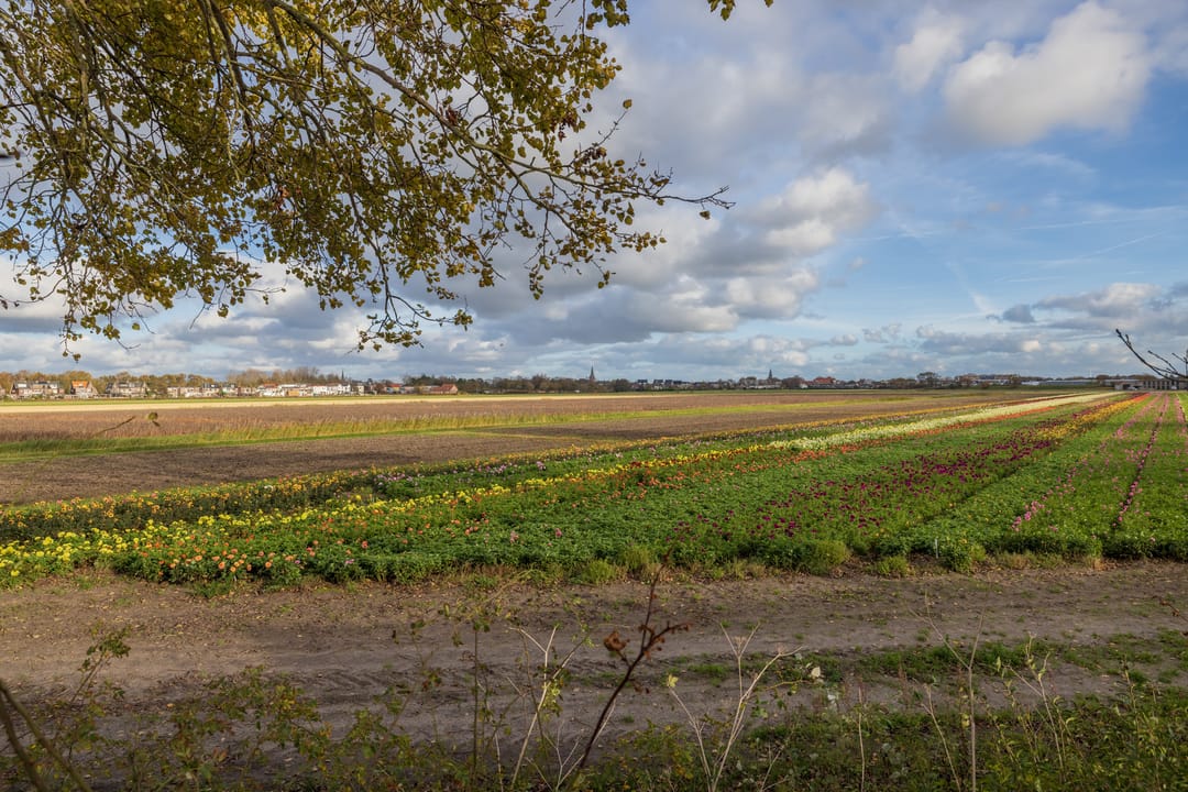 Foto 22 van 3e Loosterweg 50-A