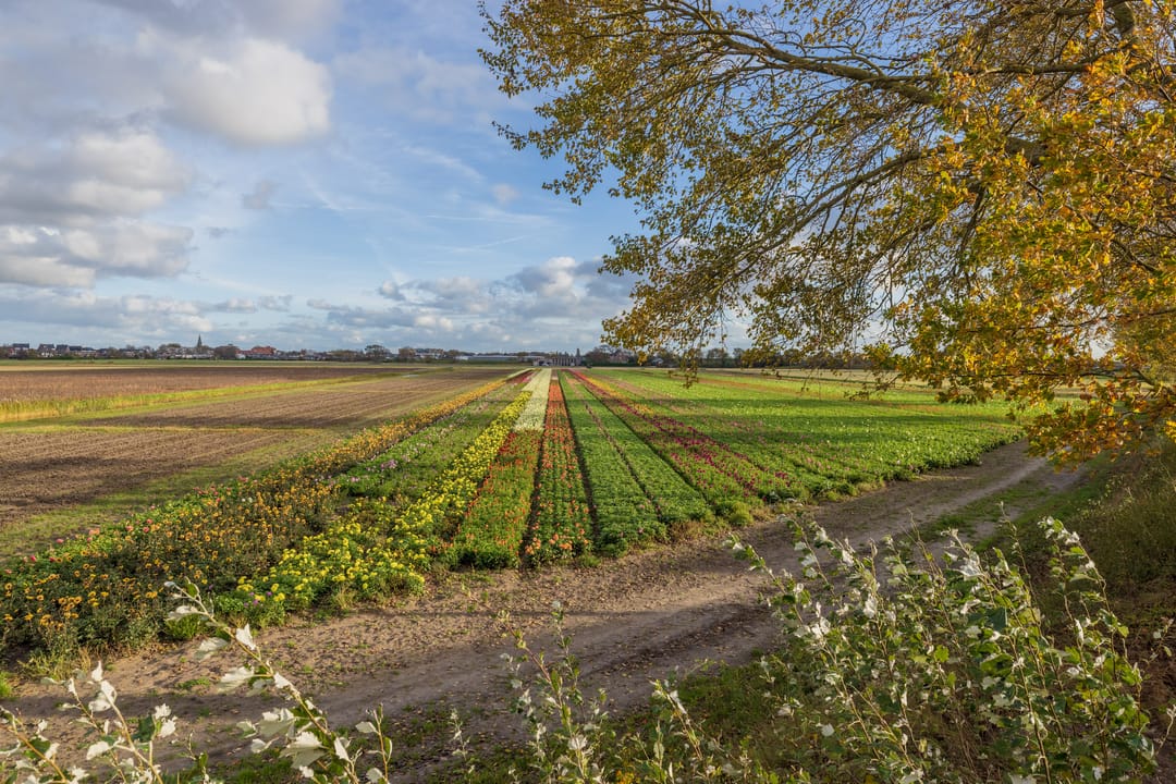 Foto 23 van 3e Loosterweg 50-A