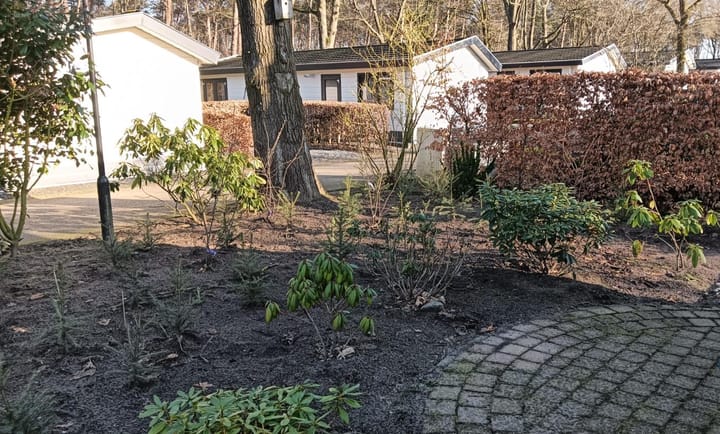 Photo 4 of Barteweg 15