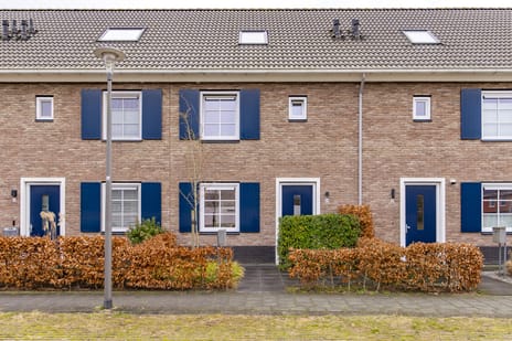 Pronkridder thumbnail