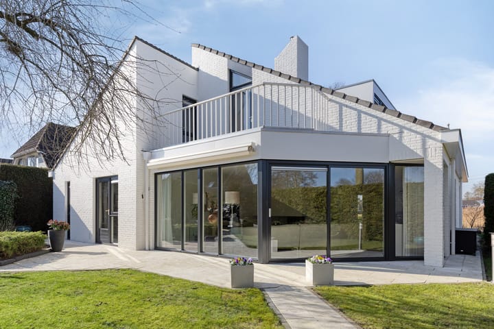 Foto 2 van Madeliefje 9