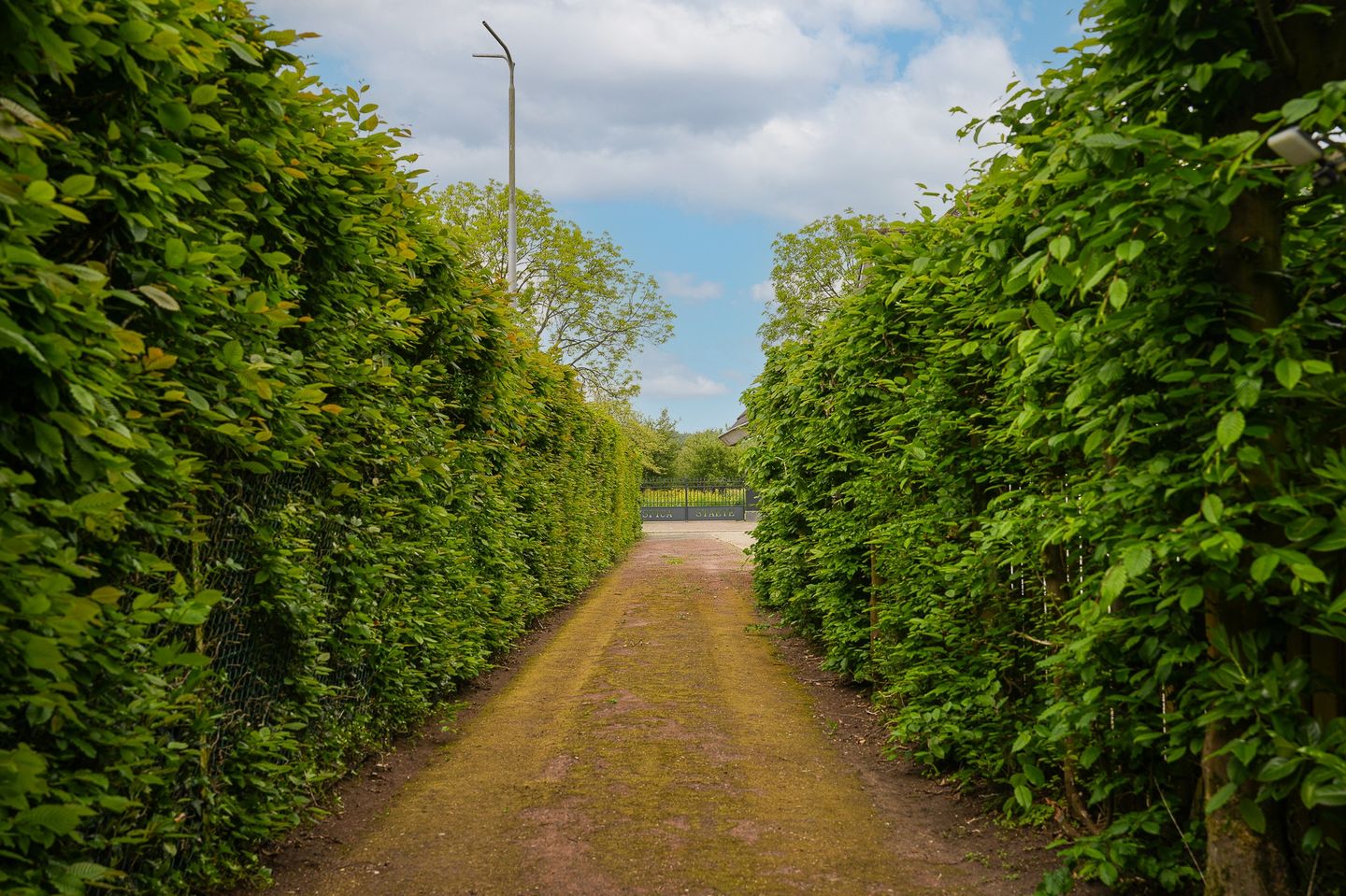 Foto 50 van Zuiderlingedijk 179