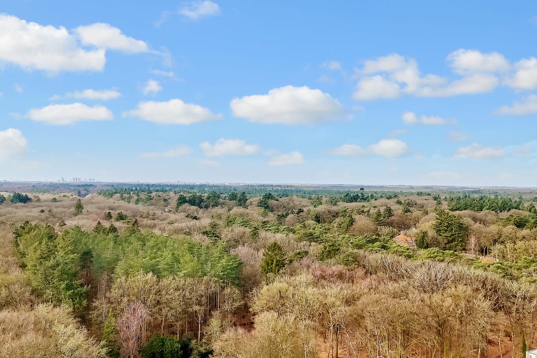 Foto 38 van Korte Bergweg 56