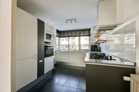 Herman de Manlaan 36 tertiary image