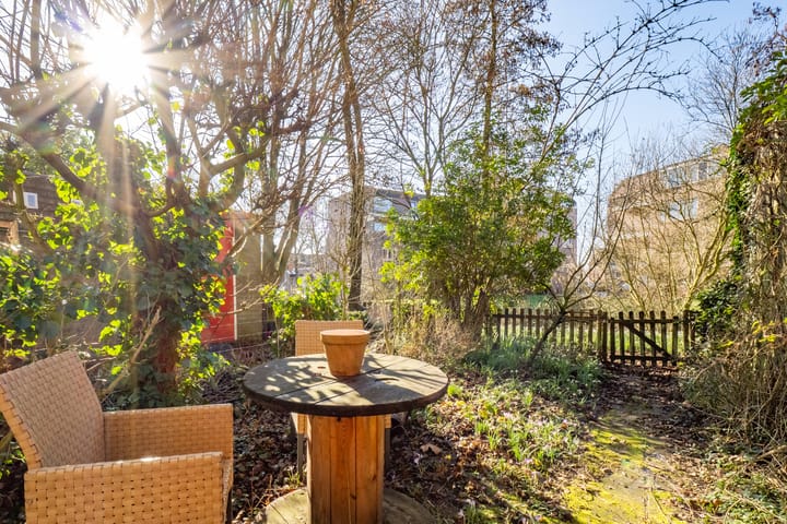 Photo 4 of Fivelingo 81