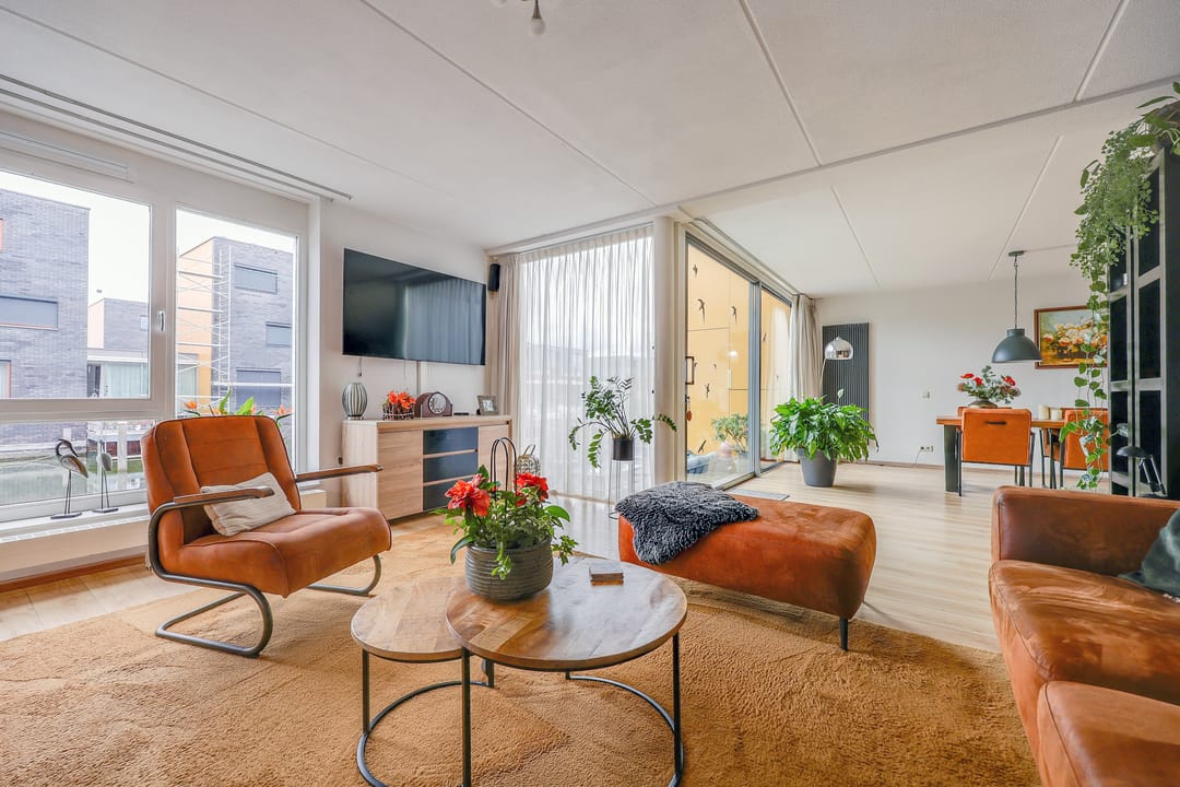 Photo 7 of Fokkeboom 42