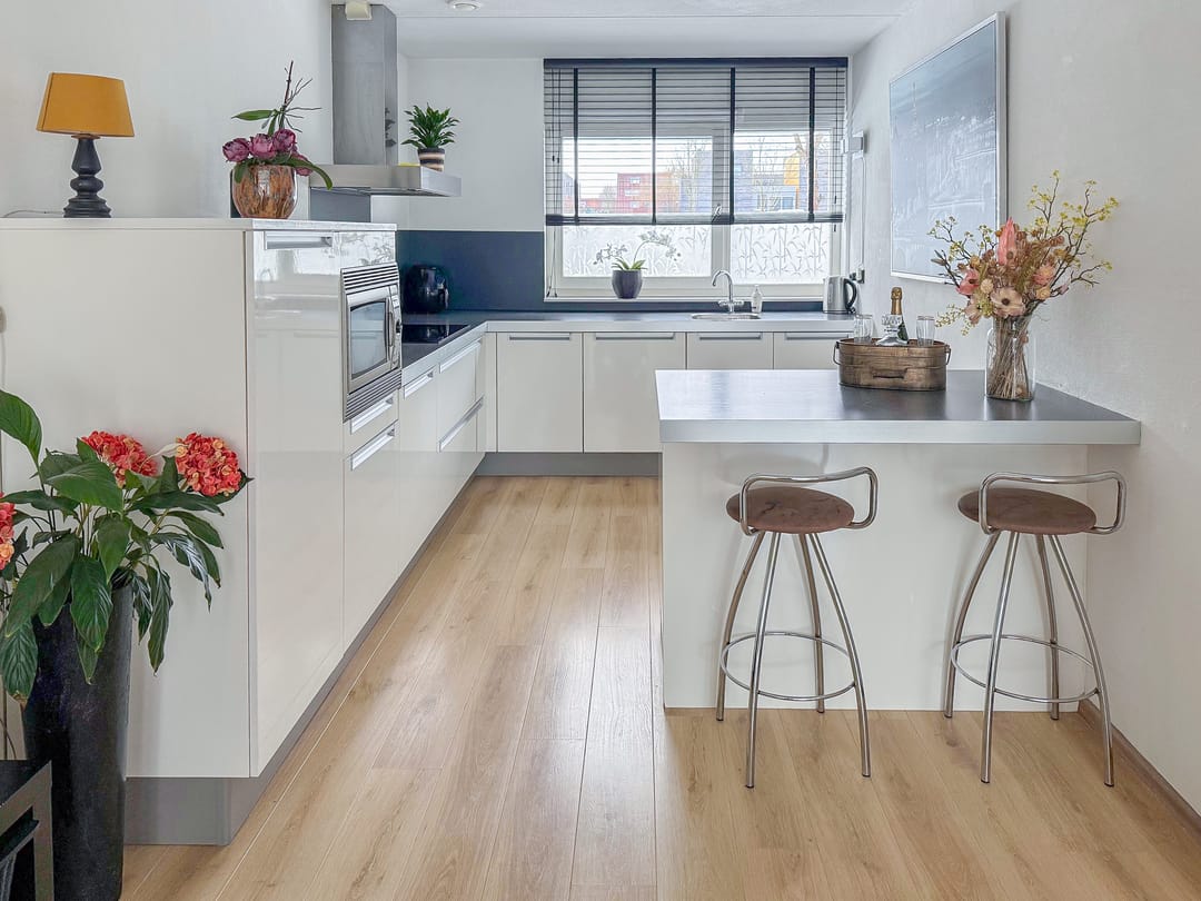 Photo 13 of Fokkeboom 42