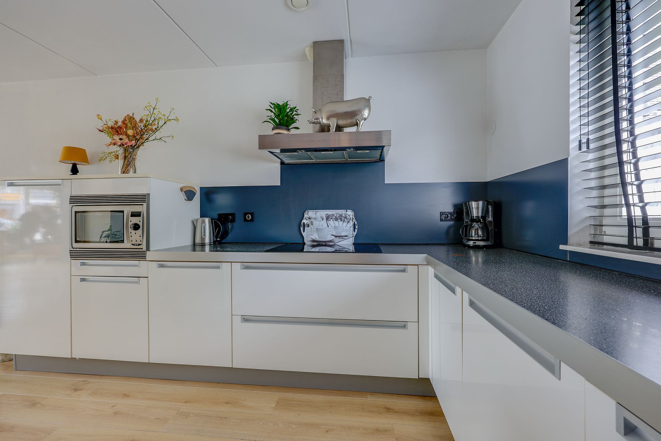 Photo 15 of Fokkeboom 42