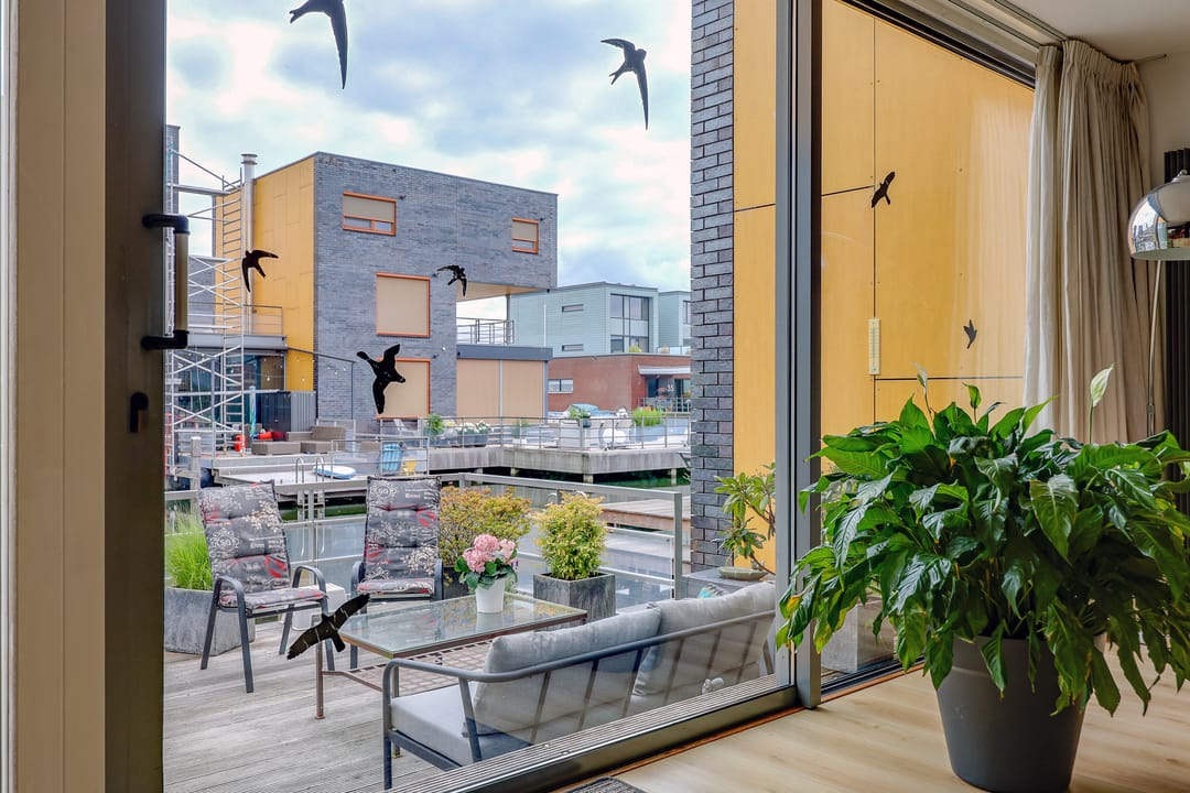 Photo 16 of Fokkeboom 42