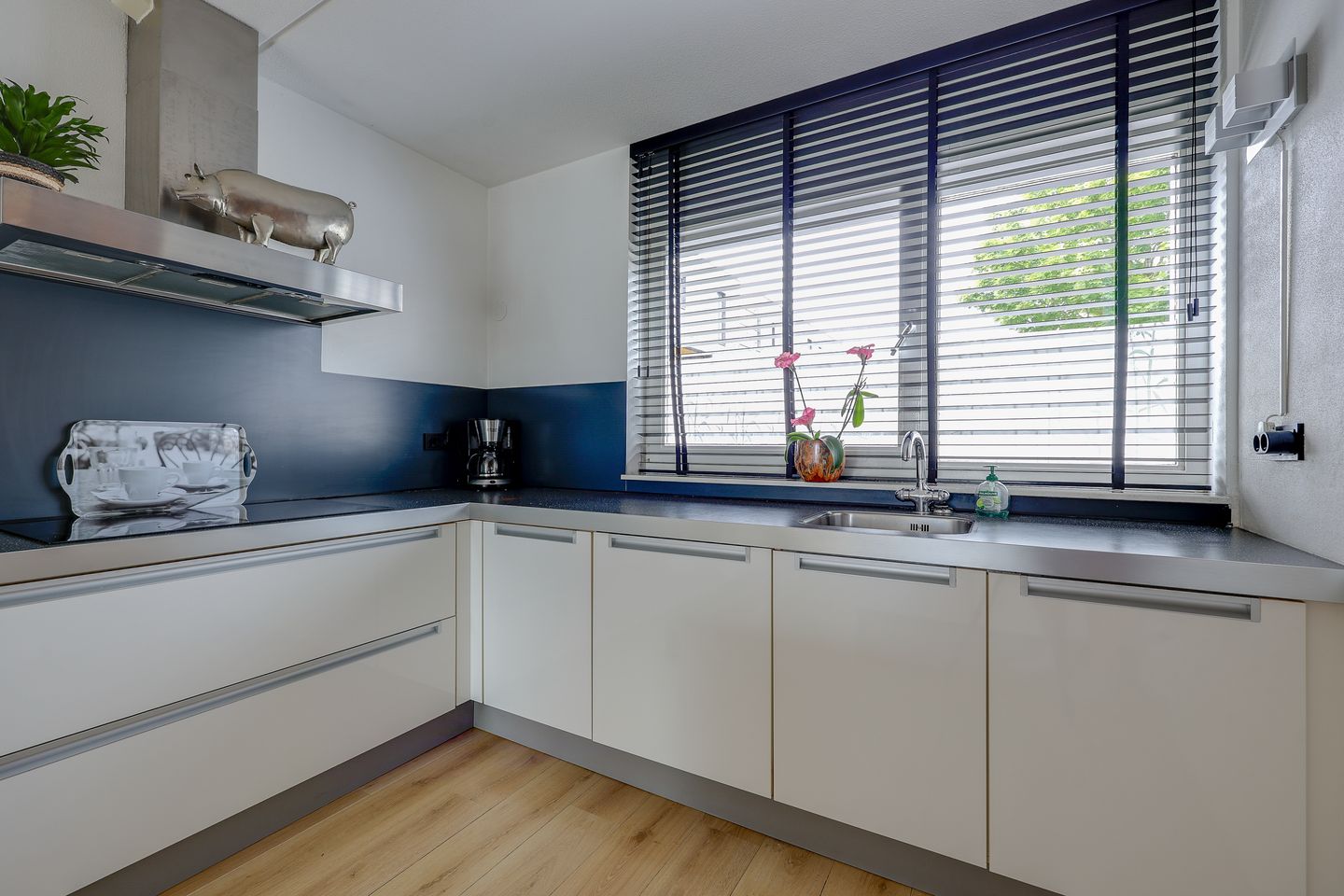 Photo 14 of Fokkeboom 42