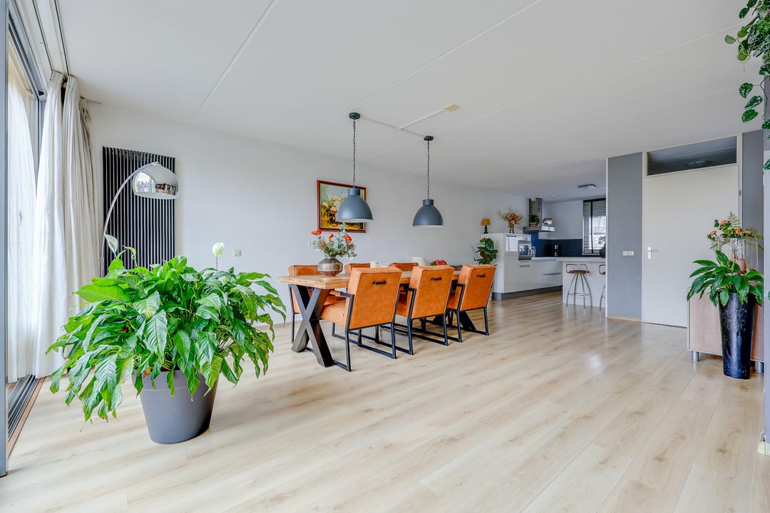 Photo 11 of Fokkeboom 42