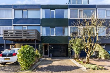 Anijsstraat thumbnail