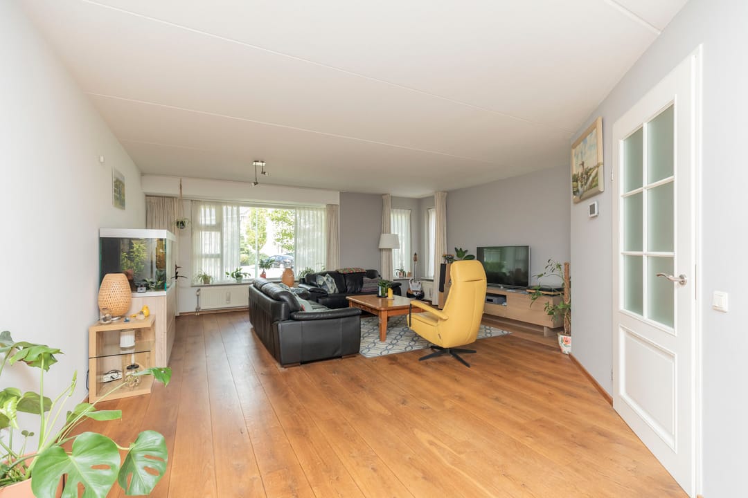 Foto 8 van Roerdomp 30