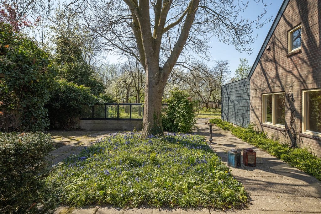 Foto 9 van Langestraat 38