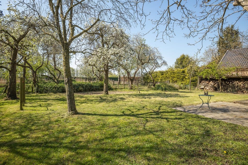 Foto 10 van Langestraat 38