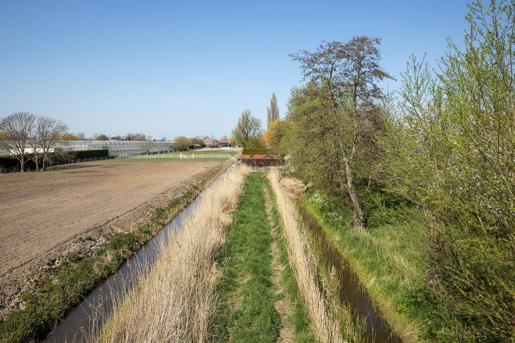 Foto 11 van Langestraat 38