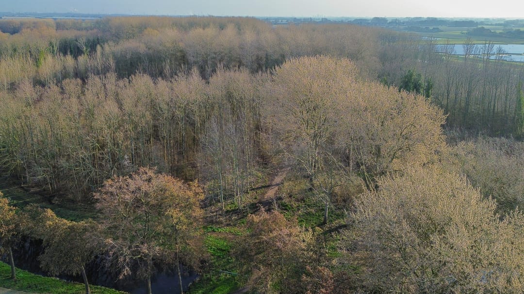 Foto 41 van Mossel 73