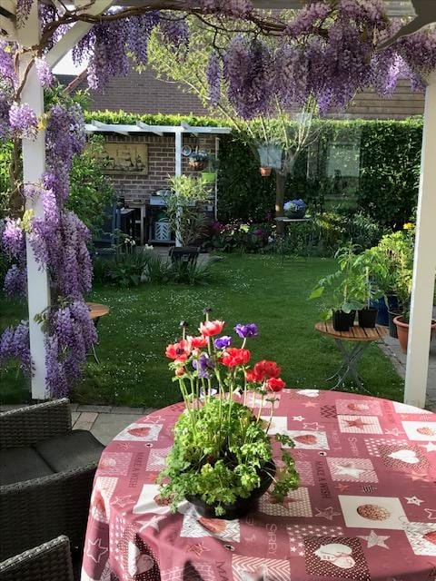 Foto 29 van Deltastraat 10