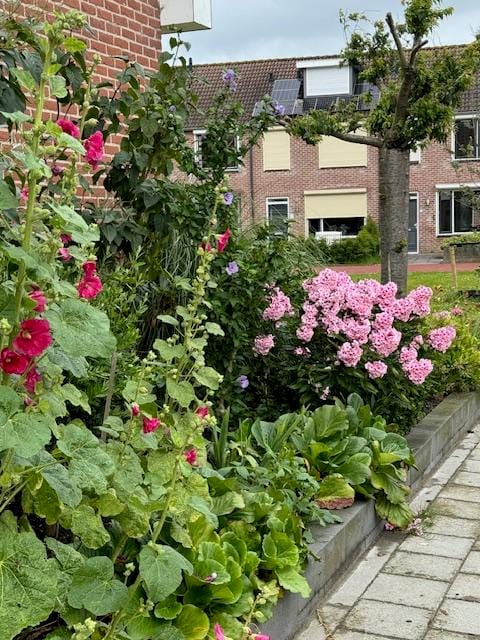 Foto 31 van Deltastraat 10