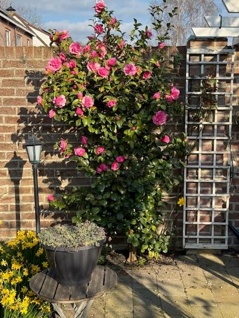 Foto 36 van Deltastraat 10