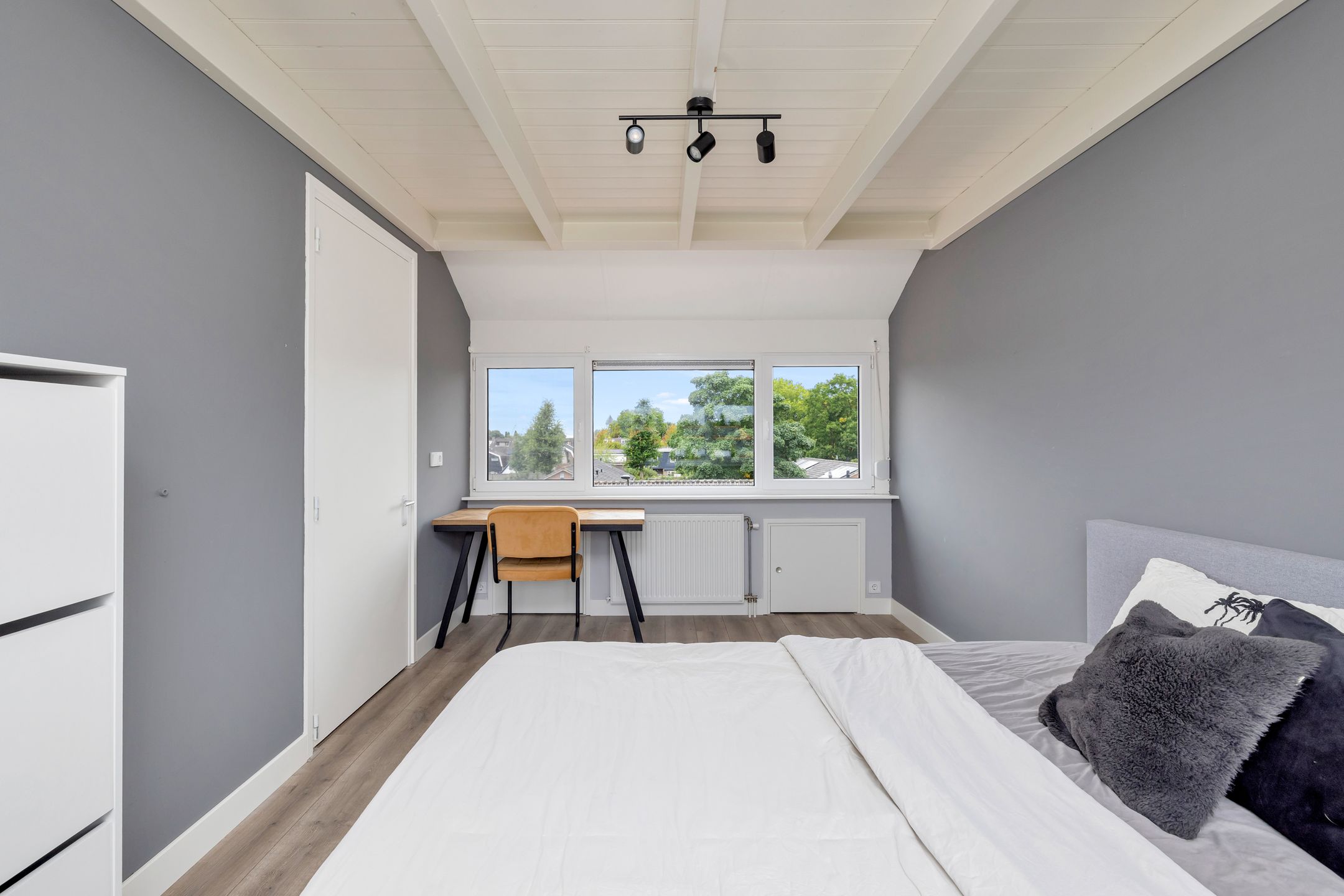 Photo 27 of Paulus Potterstraat 2