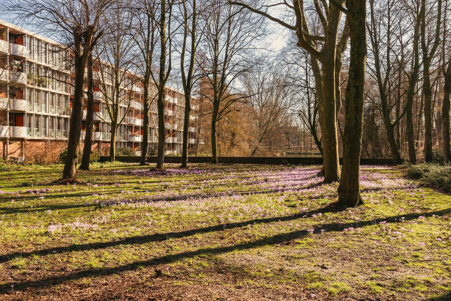 Foto 34 van Ilperveldstraat 18