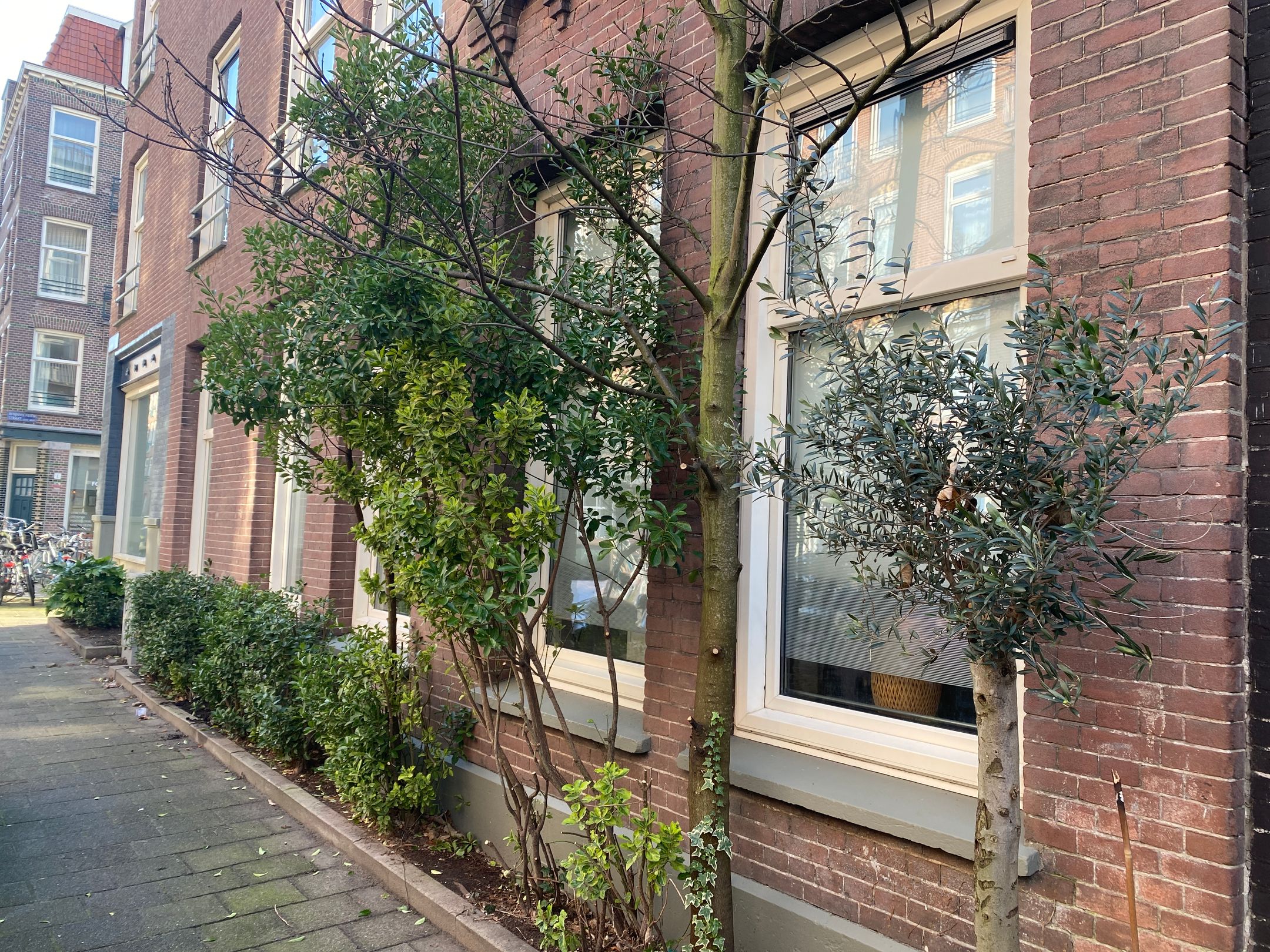 Photo 6 of Rhijnvis Feithstraat 2-H