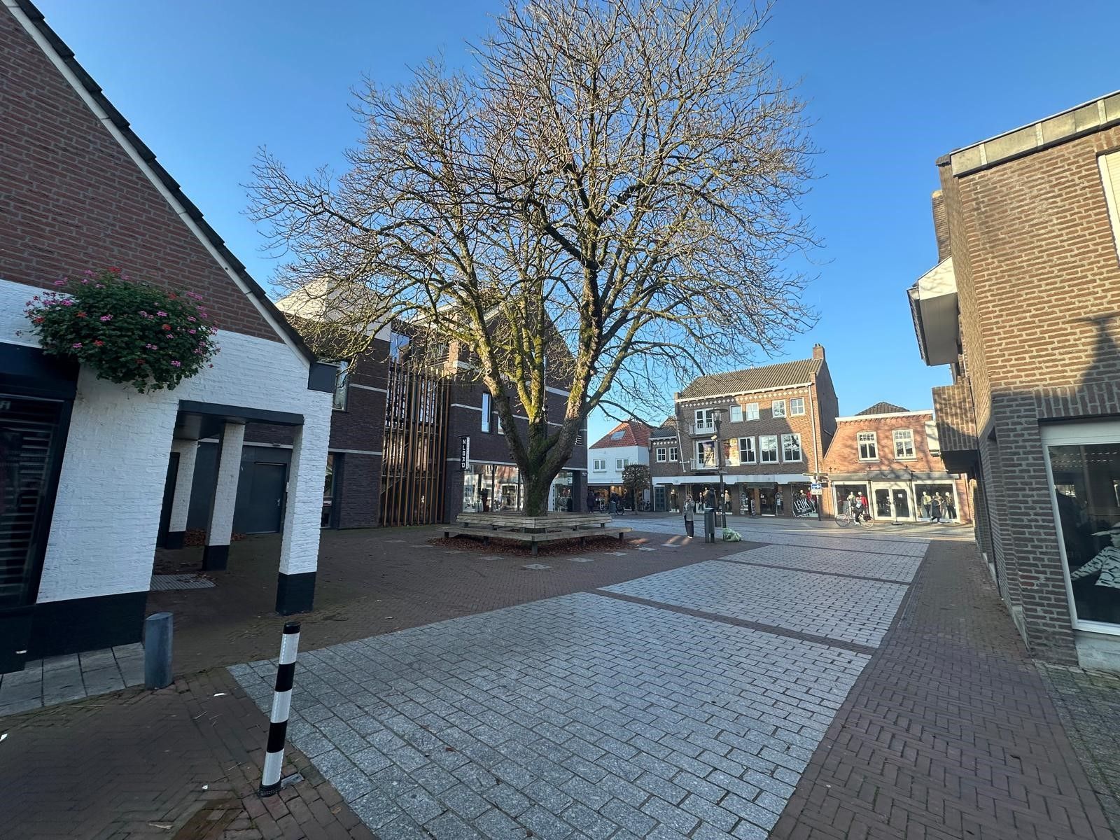 Foto 3 van Schuifelenberg 9