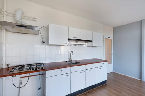 Tjaarda 304-a tertiary image