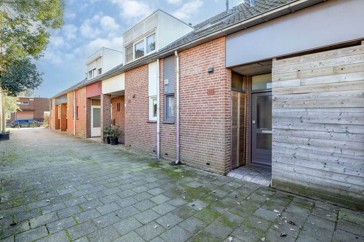 Foto 3 van Dovenetel 5