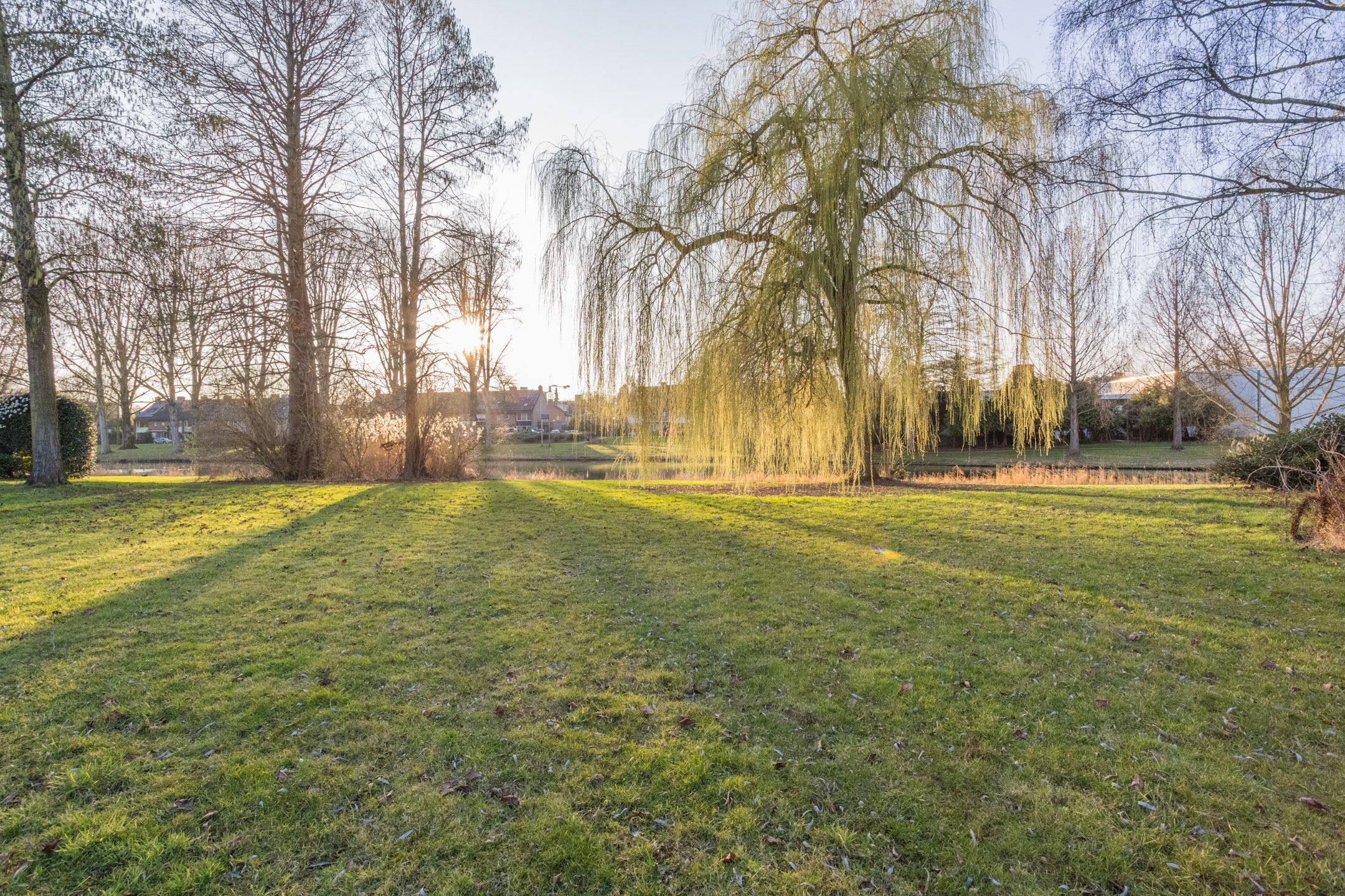 Photo 60 of Icaruslaan 11