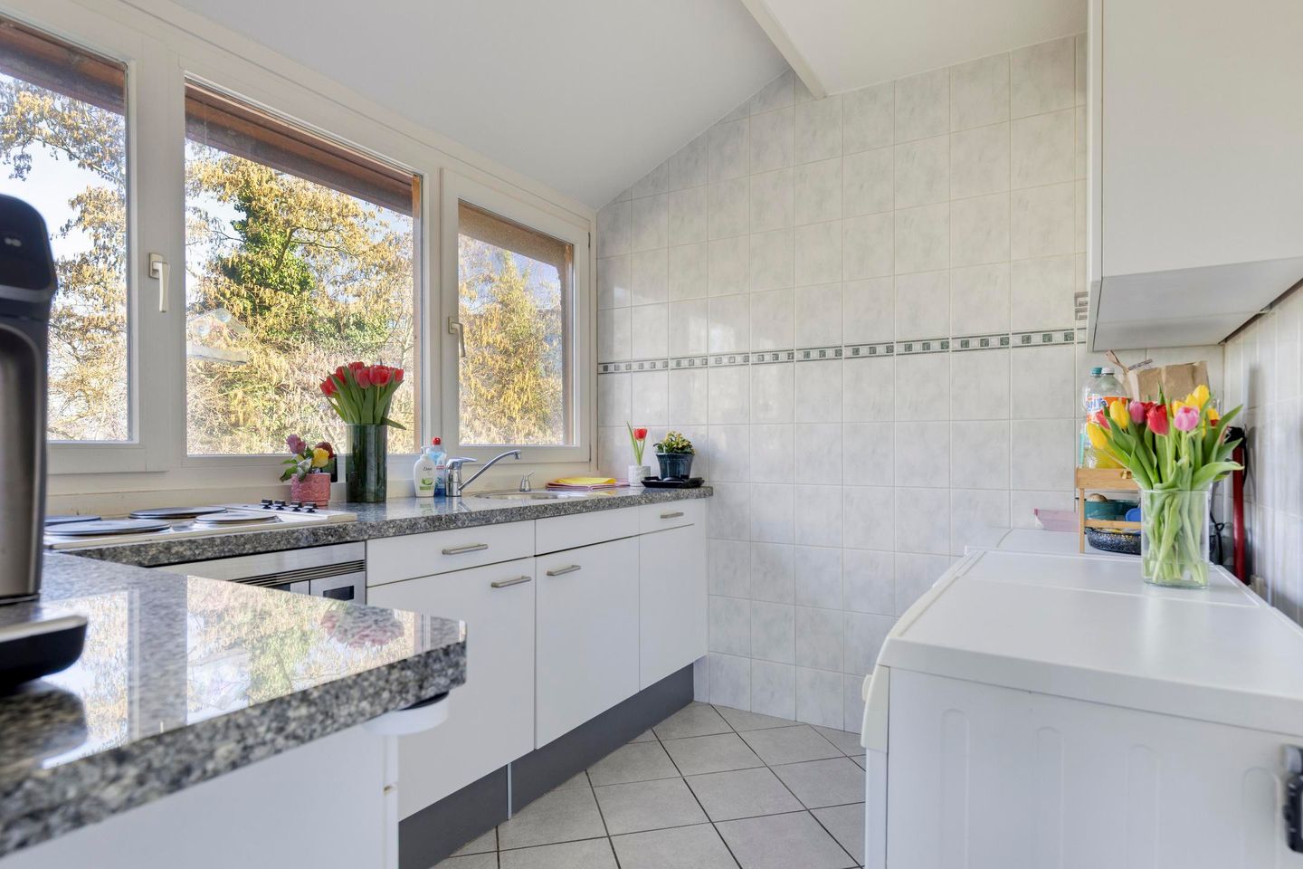 Foto 44 van Hugo de Vriesweg 1