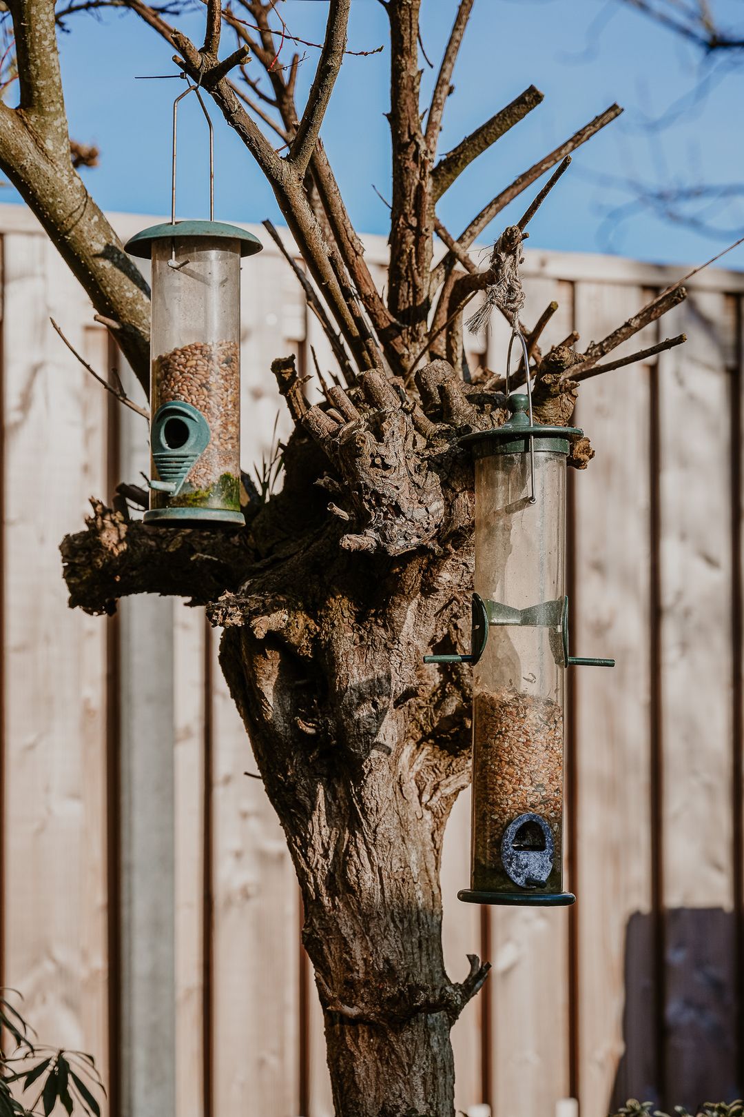 Foto 43 van Remise 2