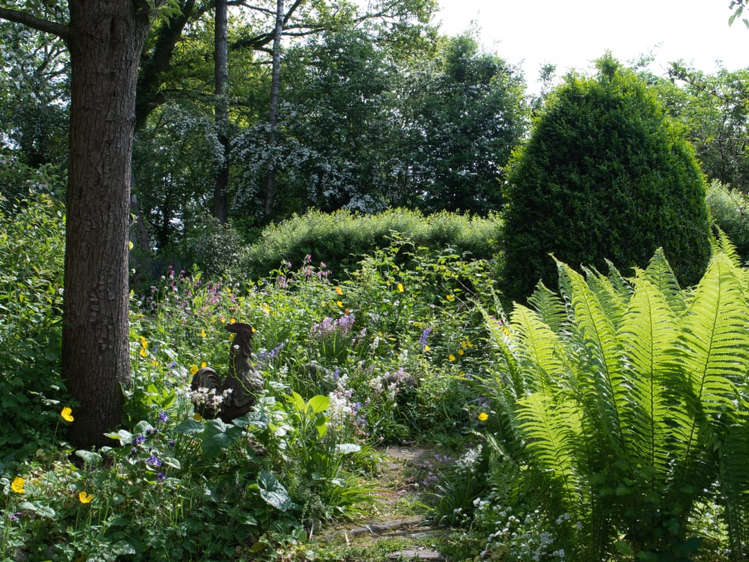 Foto 37 van Laagduurswoude 18