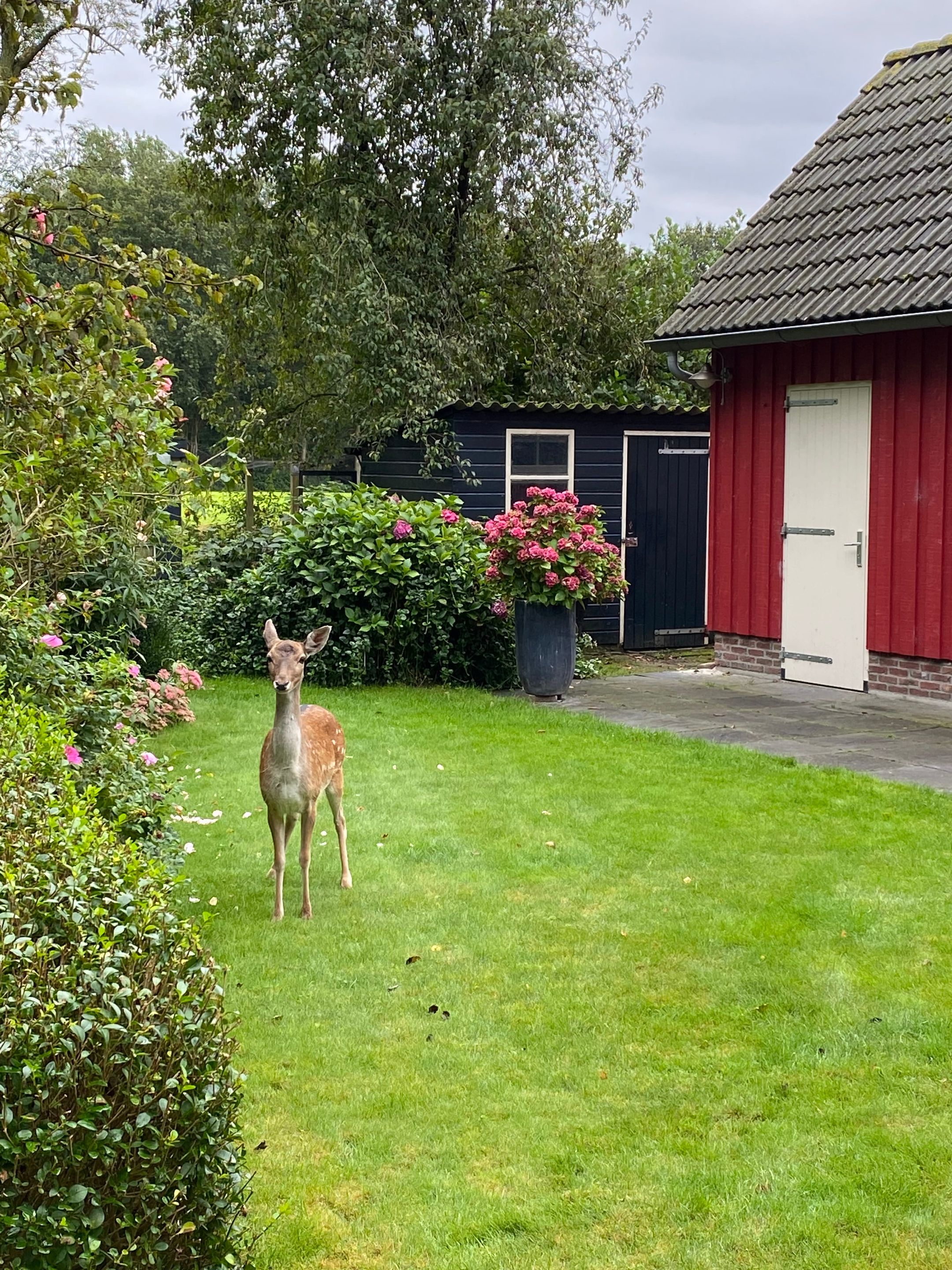 Foto 27 van Laagduurswoude 18