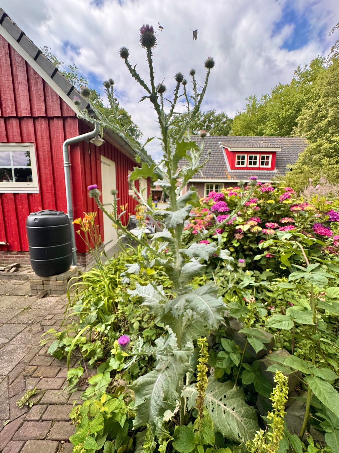 Foto 38 van Laagduurswoude 18