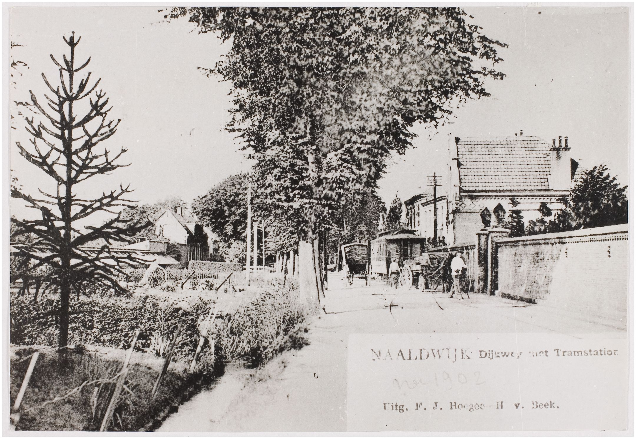 Foto 36 van Dijkweg 16