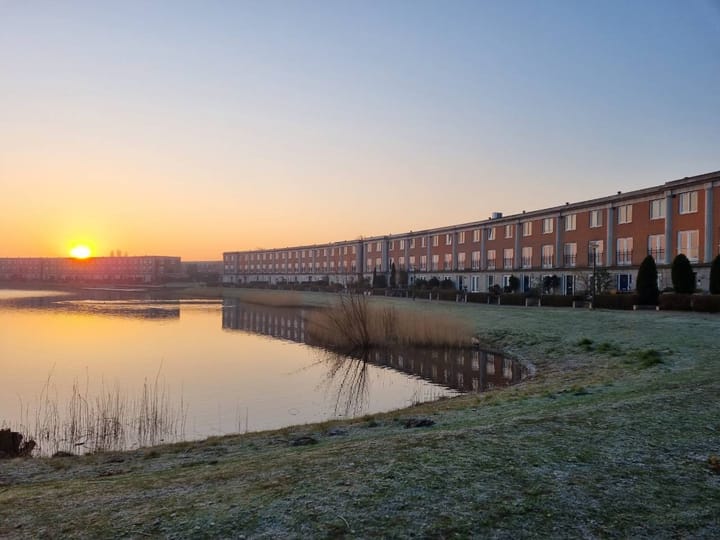 Foto 3 van Rimpelmos 16