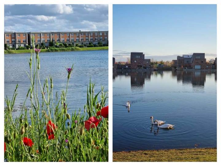 Foto 4 van Rimpelmos 16