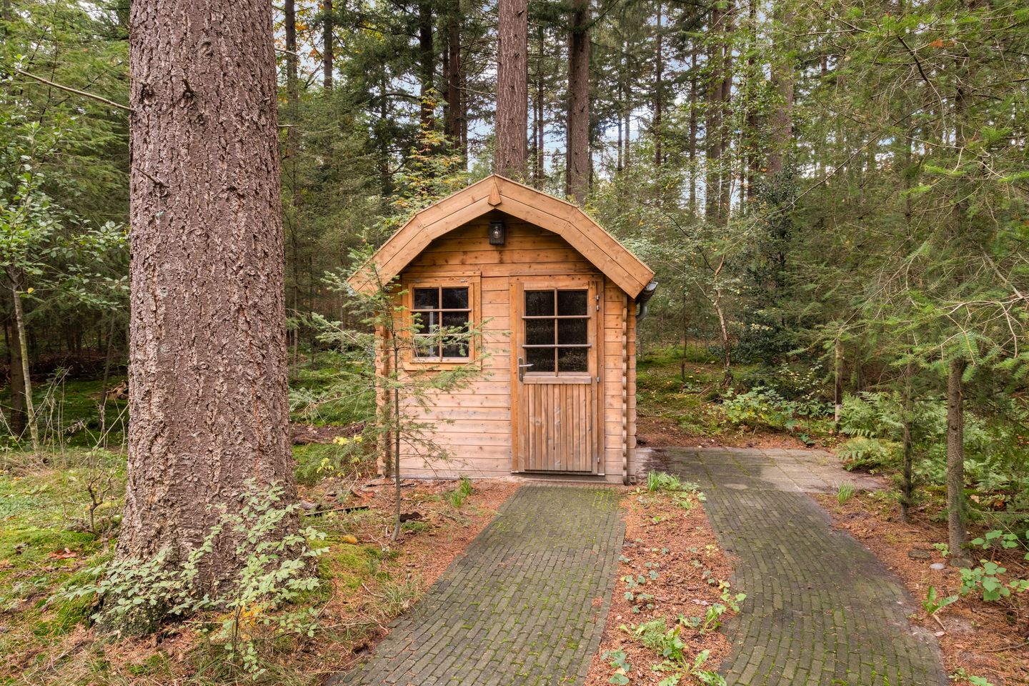 Foto 25 van Soesterbergsestraat 133-B05