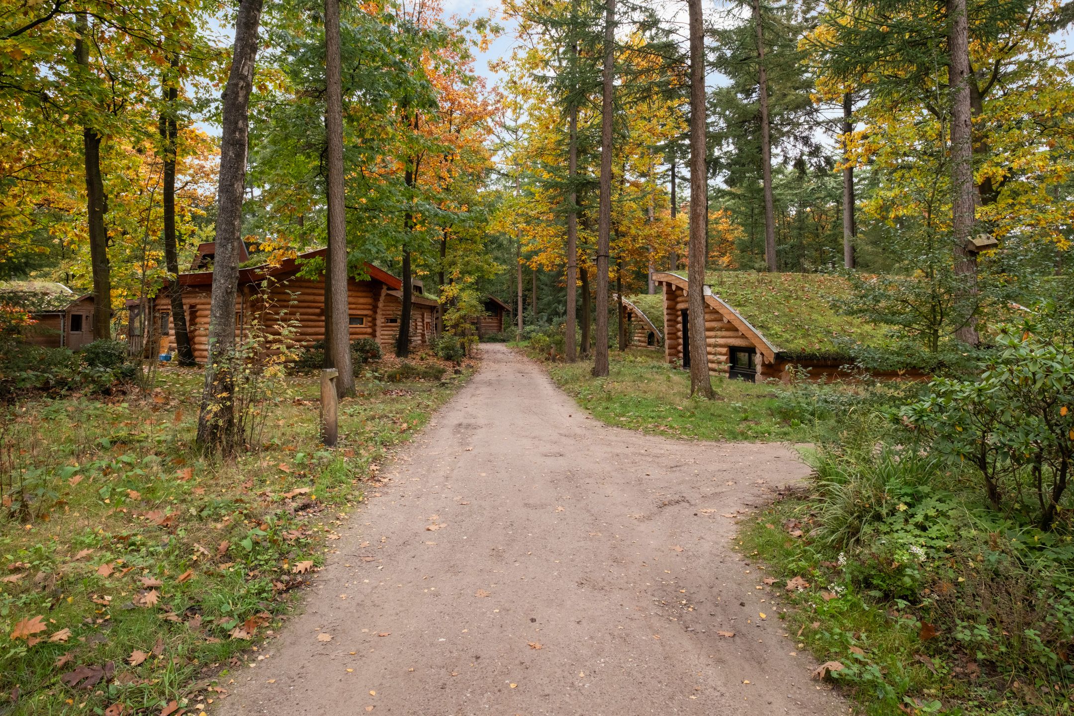 Foto 27 van Soesterbergsestraat 133-B05